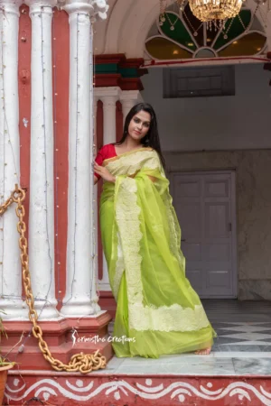 Organza Silk Saree with embroidery work (fluorescent green)